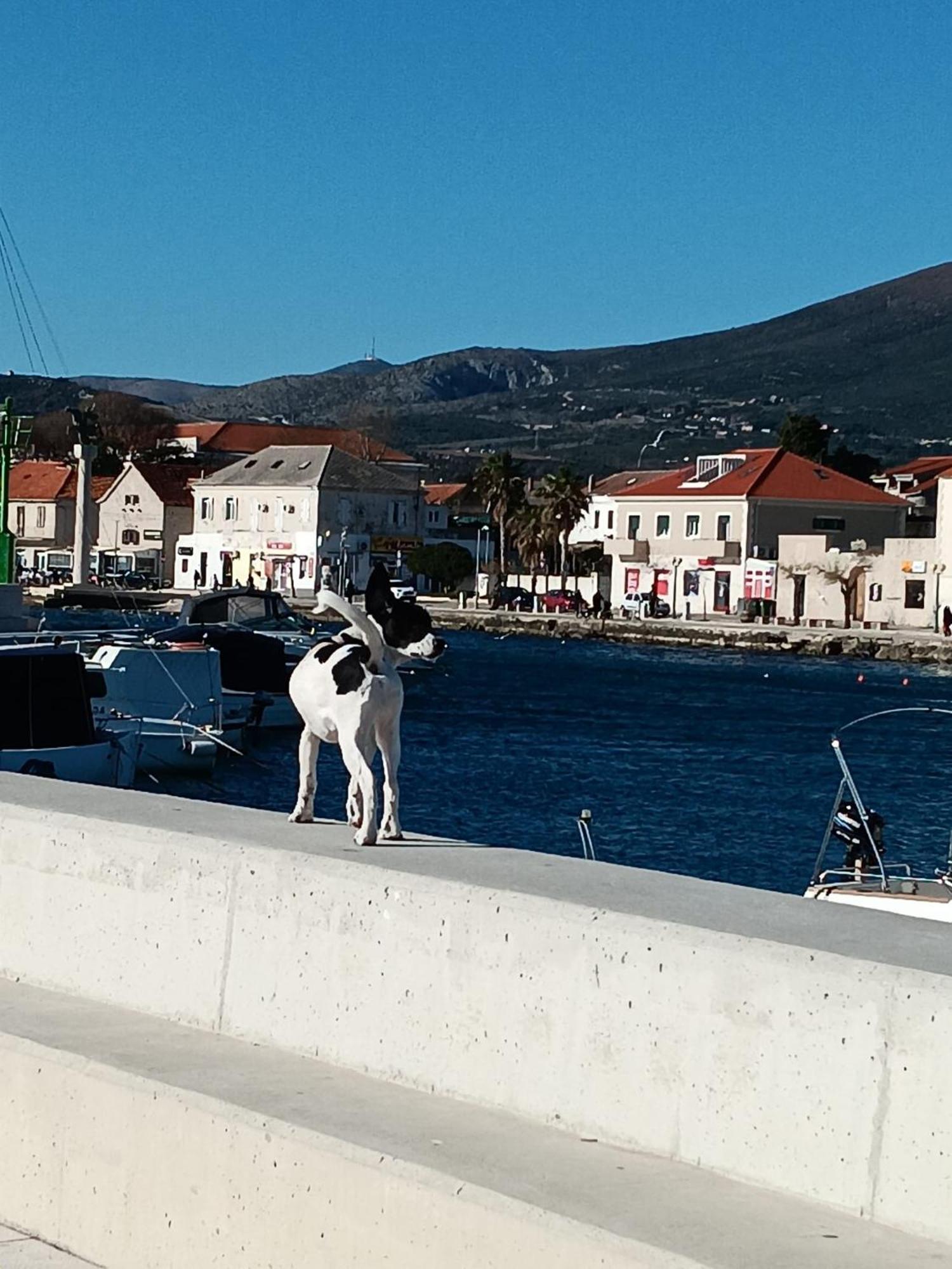By Osibov, Diamondfish Apartment Kastela Luaran gambar